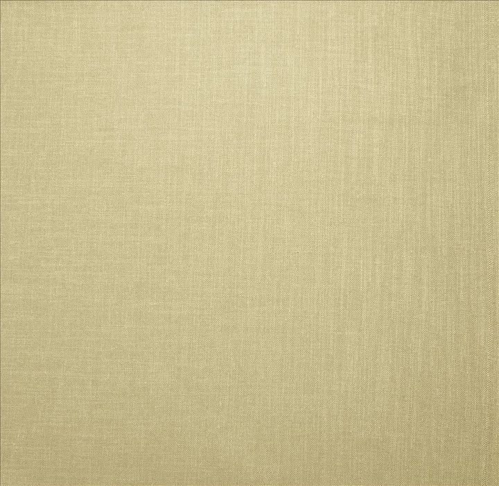 Subtle Chic Dove  by Kasmir Fabric See sample 100% Polyester
 INDIA 50,000 Wyzenbeek Double Rubs </p><p>Repeat: Horizontal: N/A and Vertical: N/A 54  - Fabric Carolina -