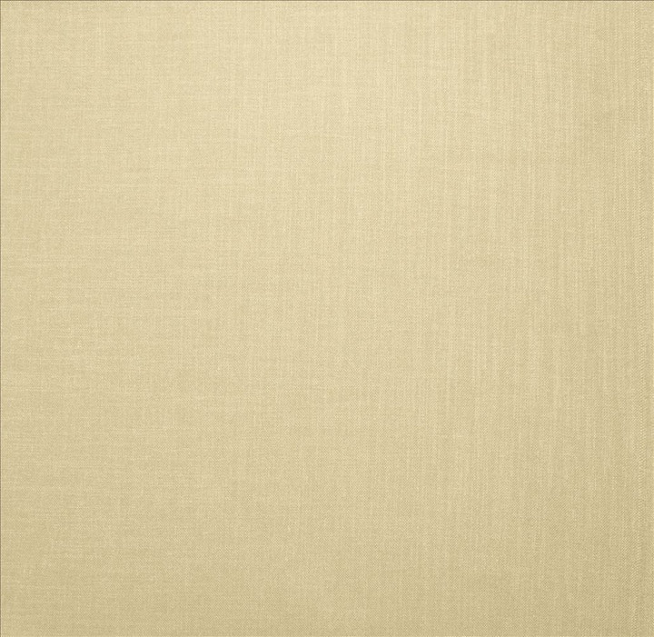 Subtle Chic Dove by Kasmir Fabric 5160 100% Polyester
 INDIA </p><p>Repeat: Horizontal: N/A and Vertical: N/A 54 - 57 - Fabric Carolina -