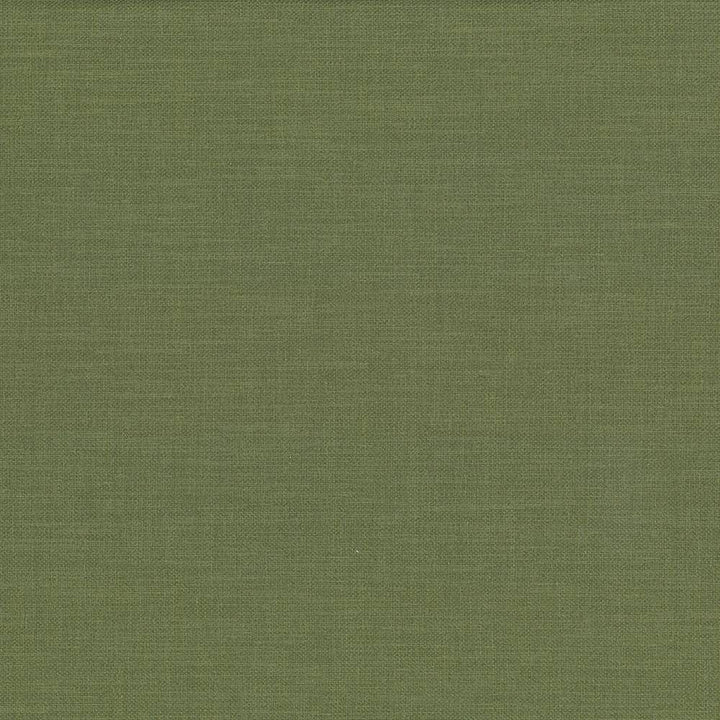 Subtle Chic Forest by Kasmir Fabric 5040 INDIA 50,000 Wyzenbeek Double Rubs H: N/A, V:N/A 55 - 57 - Fabric Carolina - Kasmir