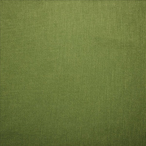 Subtle Chic Green by Kasmir Fabric