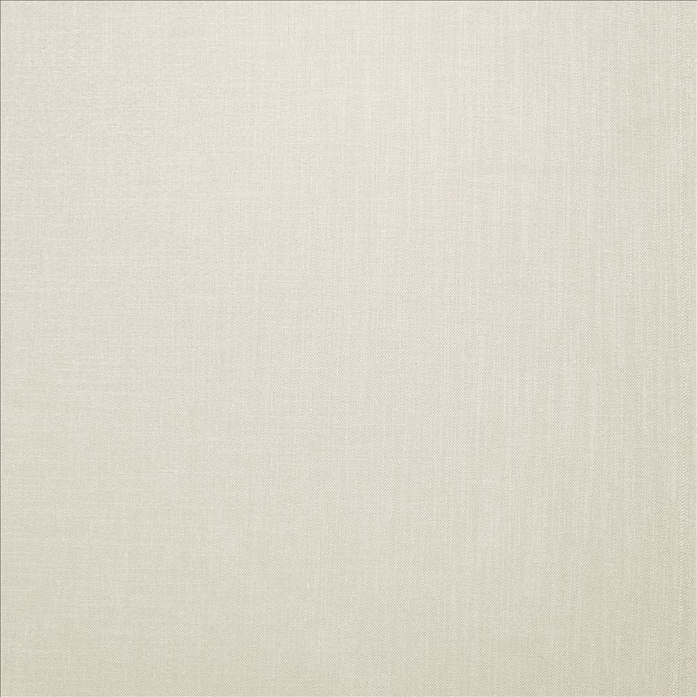 Subtle Chic Ivory  by Kasmir Fabric 5183 100% Polyester  INDIA  </p><p>Repeat: Horizontal: N/A and Vertical: N/A 54  - 57   - Fabric Carolina -