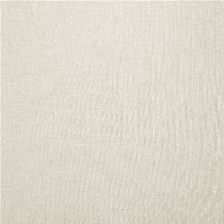 Subtle Chic Ivory  by Kasmir Fabric 5183 100% Polyester  INDIA  </p><p>Repeat: Horizontal: N/A and Vertical: N/A 54  - 57   - Fabric Carolina -