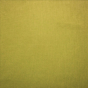 Subtle Chic Kiwi by Kasmir Fabric