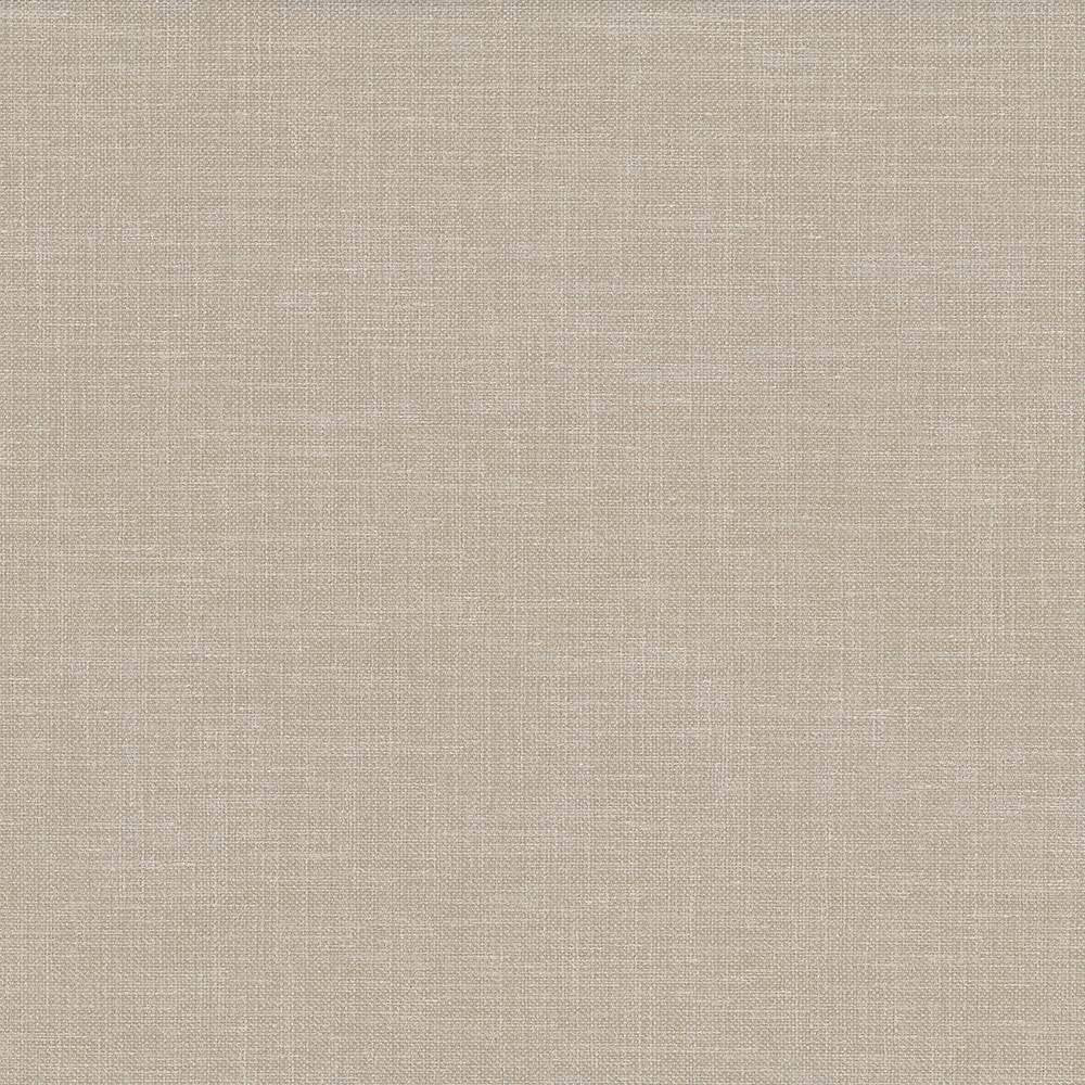 Subtle Chic Latte by Kasmir Fabric 5040 INDIA 50,000 Wyzenbeek Double Rubs H: N/A, V:N/A 55 - 57 - Fabric Carolina - Kasmir