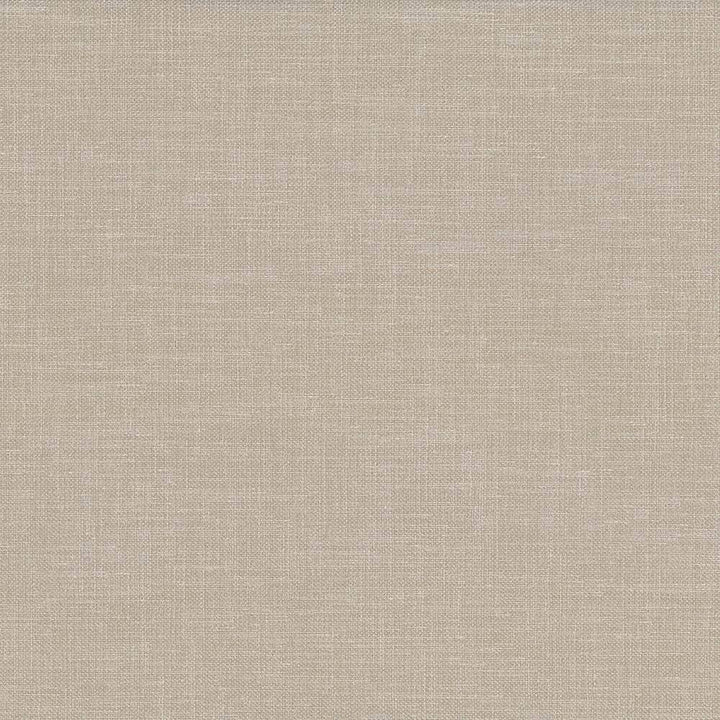 Subtle Chic Latte by Kasmir Fabric 5040 INDIA 50,000 Wyzenbeek Double Rubs H: N/A, V:N/A 55 - 57 - Fabric Carolina - Kasmir