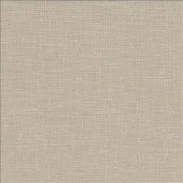Subtle Chic Latte by Kasmir Fabric 5040 100% Polyester INDIA 50,000 Wyzenbeek Double Rubs H: N/A, V: N/A 55 - 57 - Fabric Carolina - Kasmir