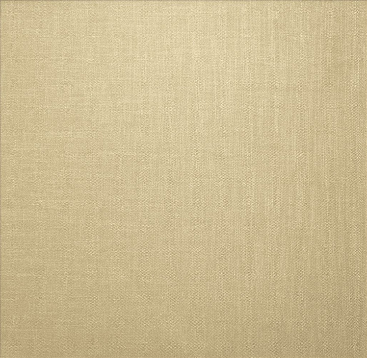 Subtle Chic Linen by Kasmir Fabric 5040 100% Polyester
 INDIA </p><p>Repeat: Horizontal: N/A and Vertical: N/A 54 - 57 - Fabric Carolina -