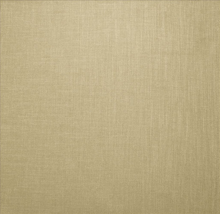 Subtle Chic Linen by Kasmir Fabric 5160 100% Polyester
 INDIA 50,000 Wyzenbeek Double Rubs </p><p>Repeat: Horizontal: N/A and Vertical: N/A 54 - Fabric Carolina -