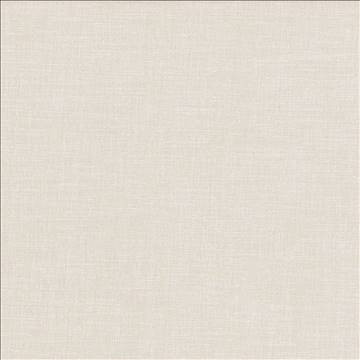 Subtle Chic Linen by Kasmir Fabric 5040 100% Polyester INDIA 50,000 Wyzenbeek Double Rubs H: N/A, V: N/A 55 - 57 - Fabric Carolina - Kasmir