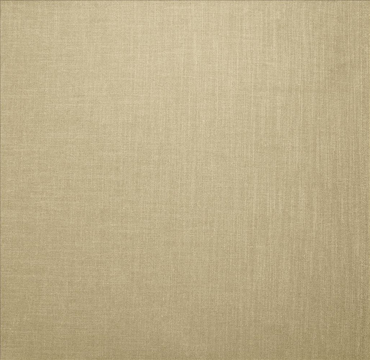 Subtle Chic Linen by Kasmir Fabric 5040 100% Polyester INDIA 50,000 Wyzenbeek Double Rubs Horizontal: 0 Inches and Vertical: 0 Inches 54 - 57 - Fabric Carolina -