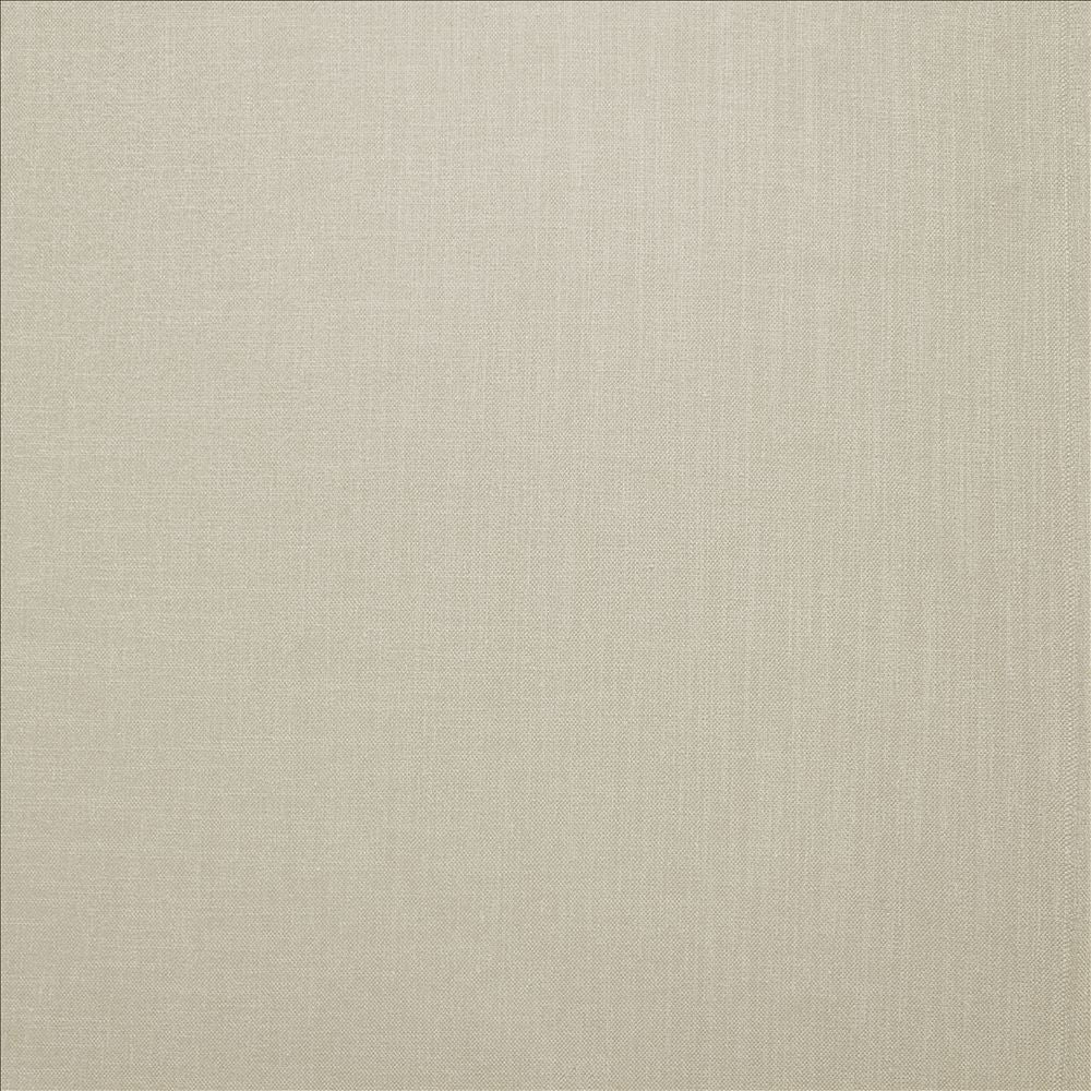 Subtle Chic Mica  by Kasmir Fabric 5183 100% Polyester  INDIA  </p><p>Repeat: Horizontal: N/A and Vertical: N/A 54  - 57   - Fabric Carolina -