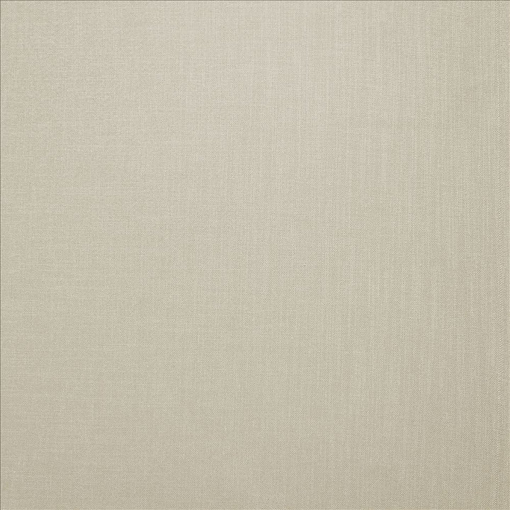 Subtle Chic Mica  by Kasmir Fabric 5183 100% Polyester  INDIA  </p><p>Repeat: Horizontal: N/A and Vertical: N/A 54  - 57   - Fabric Carolina -