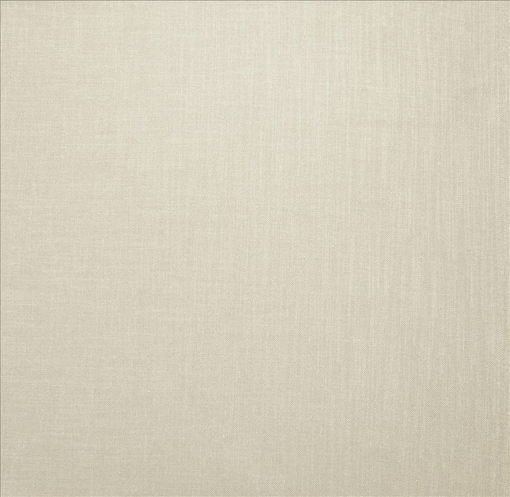 Subtle Chic Natural by Kasmir Fabric 5040 100% Polyester INDIA 50,000 Wyzenbeek Double Rubs Horizontal: 0 Inches and Vertical: 0 Inches 54 - 57 - Fabric Carolina -