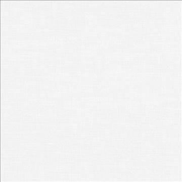 Subtle Chic Natural by Kasmir Fabric 5040 100% Polyester INDIA 50,000 Wyzenbeek Double Rubs H: N/A, V: N/A 55 - 57 - Fabric Carolina - Kasmir