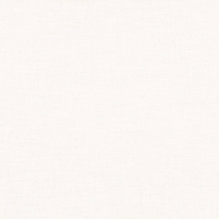 Subtle Chic Oyster by Kasmir Fabric 5040 INDIA 50,000 Wyzenbeek Double Rubs H: N/A, V:N/A 55 - 57 - Fabric Carolina - Kasmir