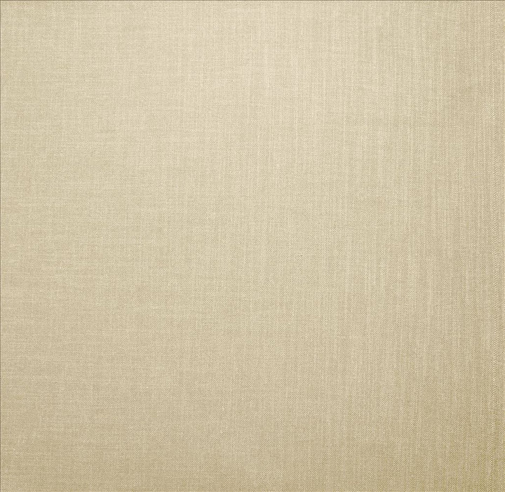 Subtle Chic Pearl by Kasmir Fabric 5160 100% Polyester
 INDIA 50,000 Wyzenbeek Double Rubs </p><p>Repeat: Horizontal: N/A and Vertical: N/A 54 - Fabric Carolina -