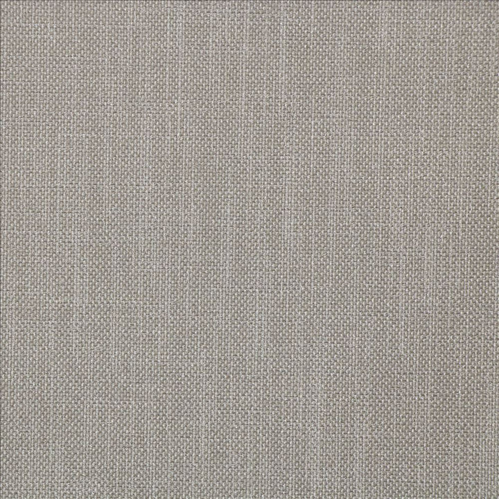 Subtle Chic Pebble  by Kasmir Fabric 5183 100% Polyester  INDIA  </p><p>Repeat: Horizontal: N/A and Vertical: N/A 54  - 57   - Fabric Carolina -