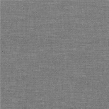Subtle Chic Pewter by Kasmir Fabric 5040 100% Polyester INDIA 50,000 Wyzenbeek Double Rubs H: N/A, V: N/A 55 - 57 - Fabric Carolina - Kasmir