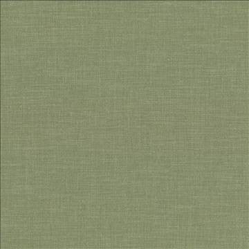 Subtle Chic Pine by Kasmir Fabric 5040 100% Polyester INDIA 50,000 Wyzenbeek Double Rubs H: N/A, V: N/A 55 - 57 - Fabric Carolina - Kasmir
