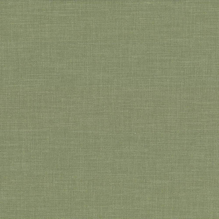 Subtle Chic Pine by Kasmir Fabric 5040 INDIA 50,000 Wyzenbeek Double Rubs H: N/A, V:N/A 55 - 57 - Fabric Carolina - Kasmir