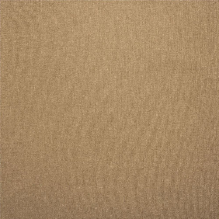 Subtle Chic Sand  by Kasmir Fabric See sample 100% Polyester
 INDIA 50,000 Wyzenbeek Double Rubs </p><p>Repeat: Horizontal: N/A and Vertical: N/A 54  - Fabric Carolina -