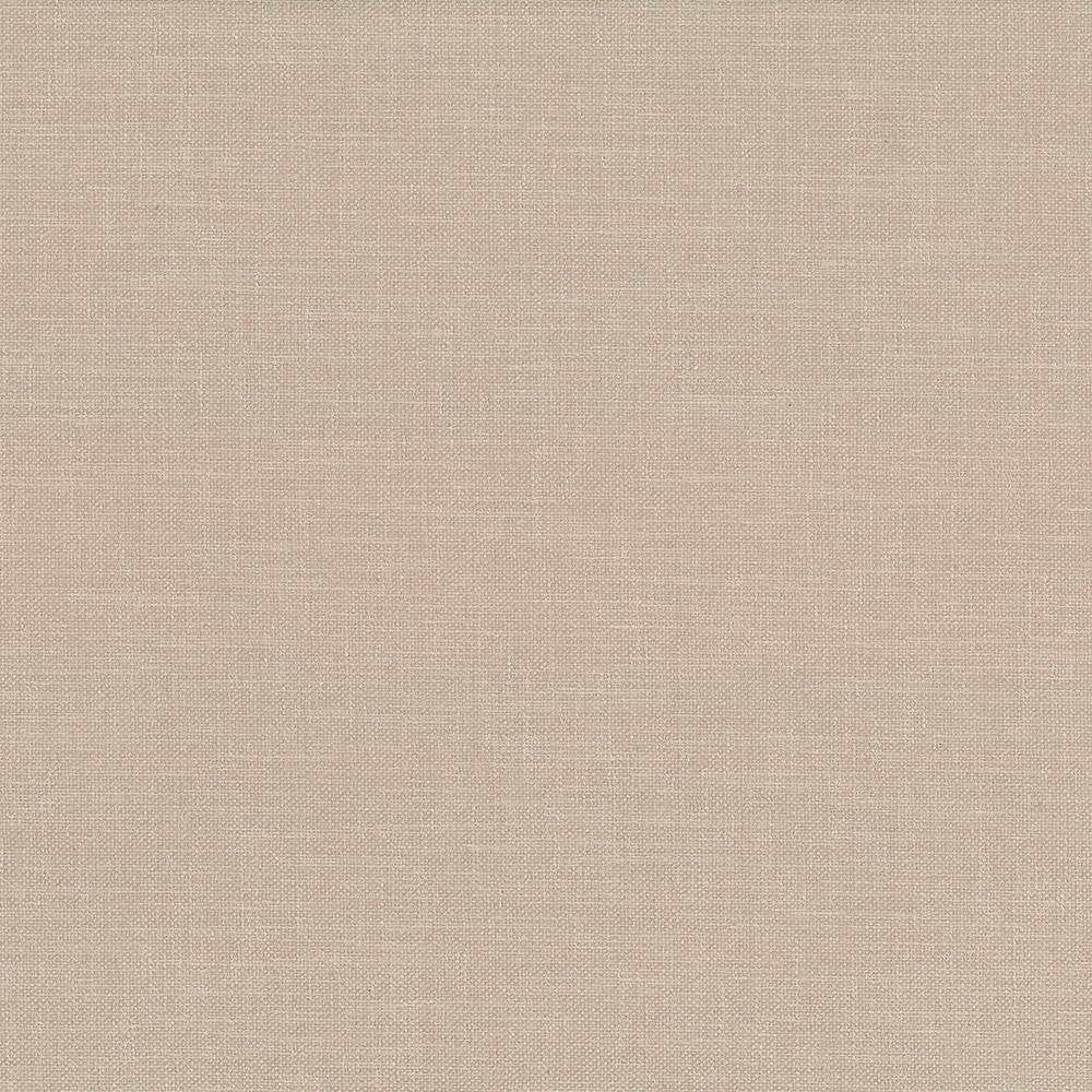 Subtle Chic Sand by Kasmir Fabric 5040 INDIA 50,000 Wyzenbeek Double Rubs H: N/A, V:N/A 55 - 57 - Fabric Carolina - Kasmir