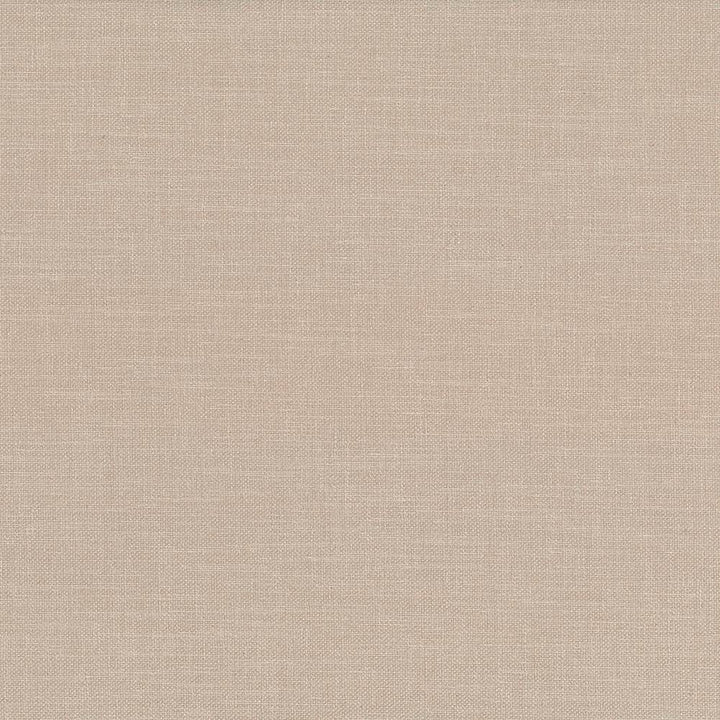 Subtle Chic Sand by Kasmir Fabric 5040 INDIA 50,000 Wyzenbeek Double Rubs H: N/A, V:N/A 55 - 57 - Fabric Carolina - Kasmir