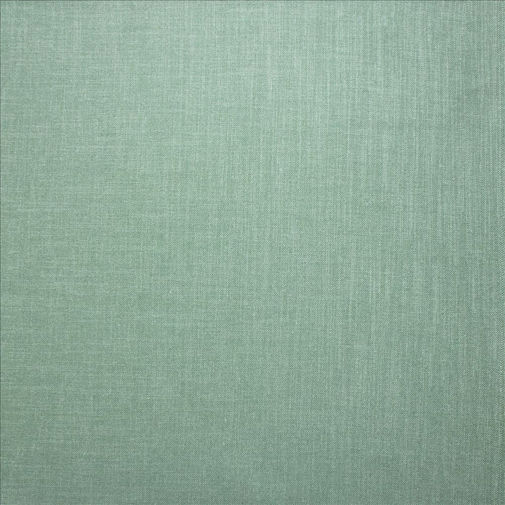 Subtle Chic Seafoam by Kasmir Fabric 5040 100% Polyester
 INDIA 50,000 Wyzenbeek Double Rubs </p><p>Repeat: Horizontal: N/A and Vertical: N/A 54 - Fabric Carolina -