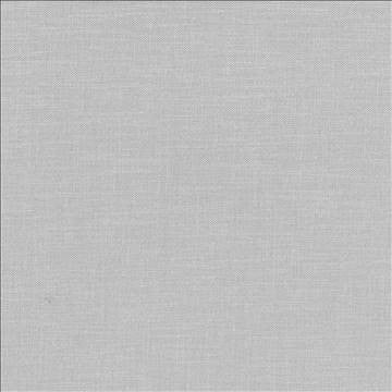 Subtle Chic Silver by Kasmir Fabric 5040 100% Polyester INDIA 50,000 Wyzenbeek Double Rubs H: N/A, V: N/A 55 - 57 - Fabric Carolina - Kasmir