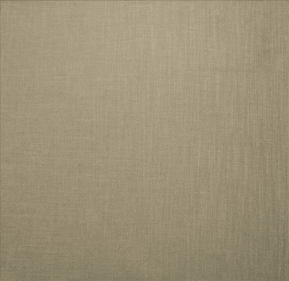 Subtle Chic Silver by Kasmir Fabric 5040 100% Polyester
 INDIA 50,000 Wyzenbeek Double Rubs </p><p>Repeat: Horizontal: N/A and Vertical: N/A 54 - Fabric Carolina -