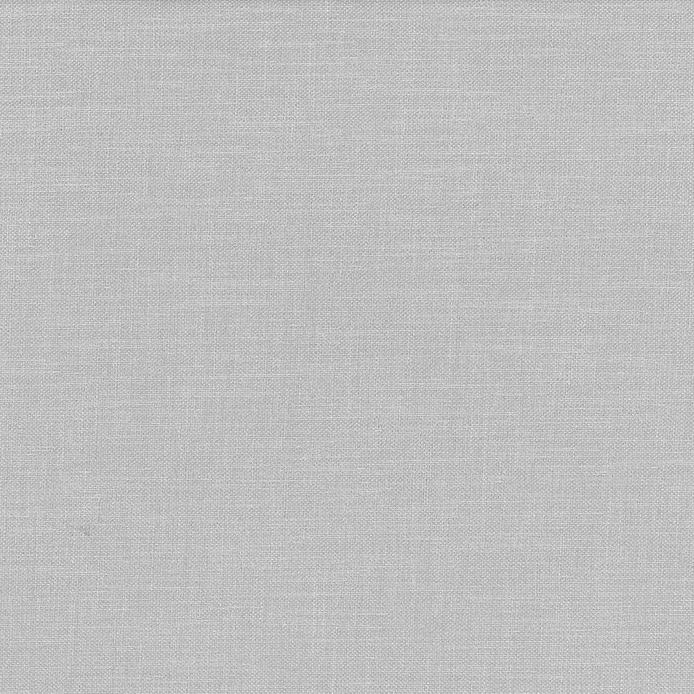 Subtle Chic Silver by Kasmir Fabric 5040 INDIA 50,000 Wyzenbeek Double Rubs H: N/A, V:N/A 55 - 57 - Fabric Carolina - Kasmir