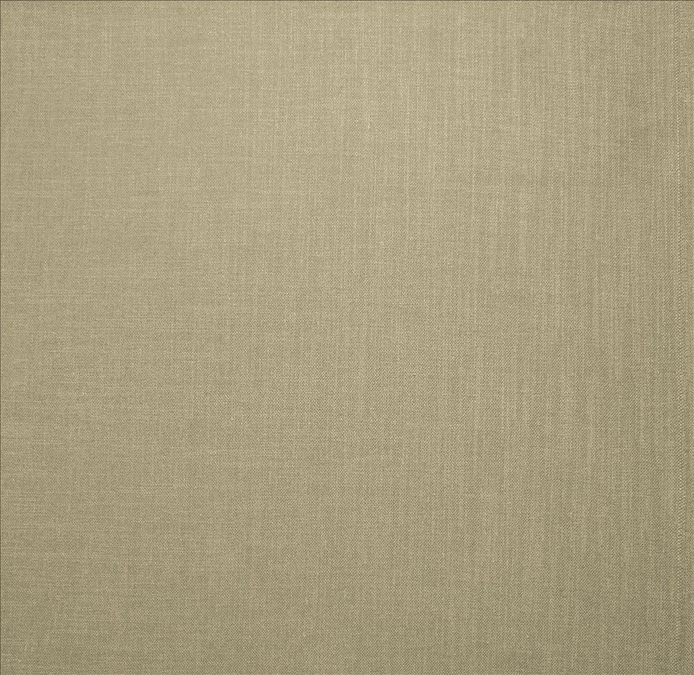Subtle Chic Silver by Kasmir Fabric 5040 100% Polyester
 INDIA </p><p>Repeat: Horizontal: N/A and Vertical: N/A 54 - 57 - Fabric Carolina -