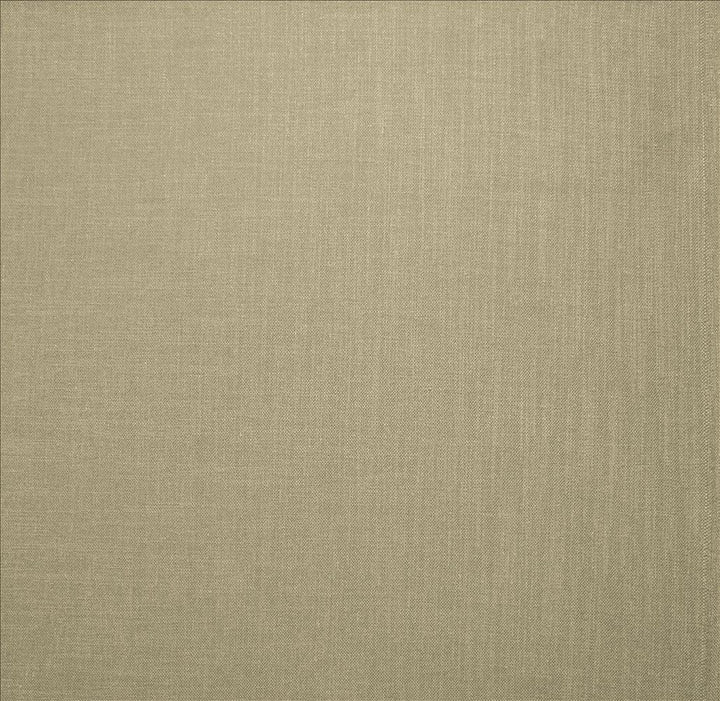 Subtle Chic Silver by Kasmir Fabric 5040 100% Polyester
 INDIA </p><p>Repeat: Horizontal: N/A and Vertical: N/A 54 - 57 - Fabric Carolina -