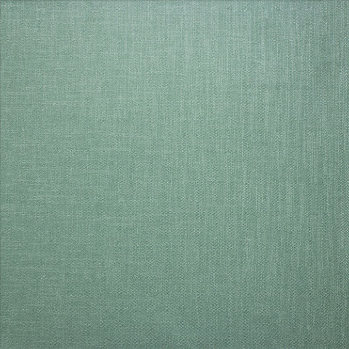 Subtle Chic Sky by Kasmir Fabric 5040 100% Polyester INDIA 50,000 Wyzenbeek Double Rubs Horizontal: 0 Inches and Vertical: 0 Inches 54 - 57 - Fabric Carolina -