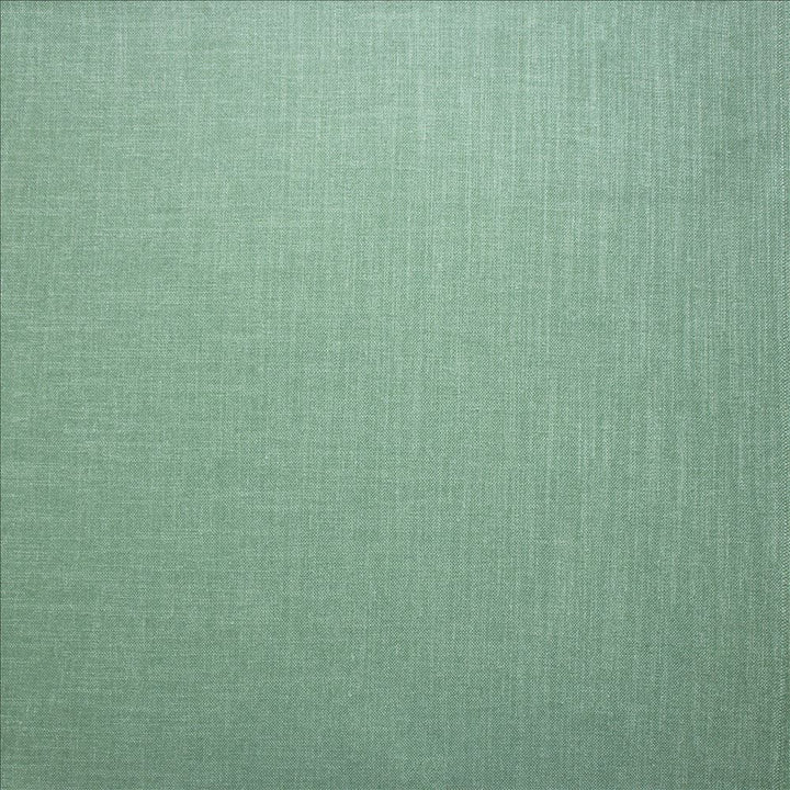 Subtle Chic Sky  by Kasmir Fabric See sample 100% Polyester
 INDIA 50,000 Wyzenbeek Double Rubs </p><p>Repeat: Horizontal: N/A and Vertical: N/A 54  - Fabric Carolina -