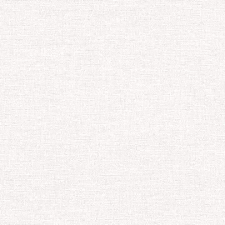 Subtle Chic Snow by Kasmir Fabric 5040 INDIA 50,000 Wyzenbeek Double Rubs H: N/A, V:N/A 55 - 57 - Fabric Carolina - Kasmir