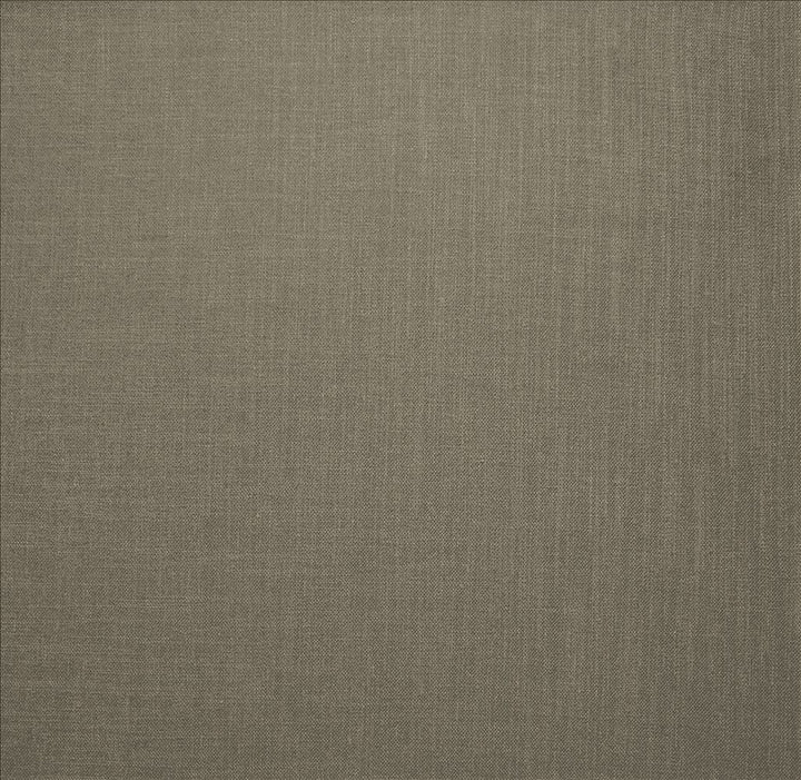 Subtle Chic Steel by Kasmir Fabric 5040 100% Polyester
 INDIA </p><p>Repeat: Horizontal: N/A and Vertical: N/A 54 - 57 - Fabric Carolina -