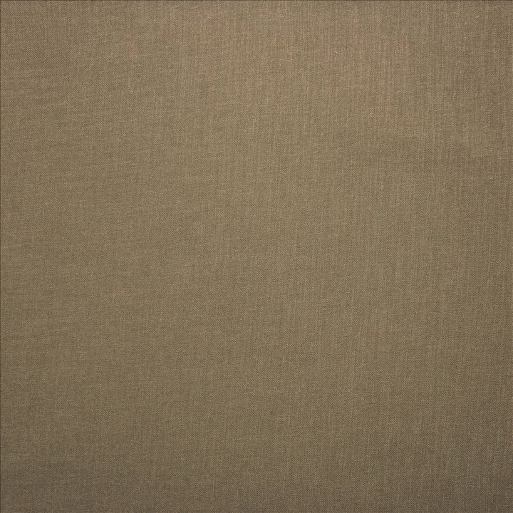 Subtle Chic Toast by Kasmir Fabric 5160 100% Polyester
 INDIA 50,000 Wyzenbeek Double Rubs </p><p>Repeat: Horizontal: N/A and Vertical: N/A 54 - Fabric Carolina -