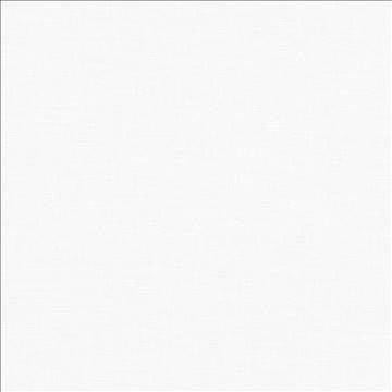 Subtle Chic White by Kasmir Fabric 5040 100% Polyester INDIA 50,000 Wyzenbeek Double Rubs H: N/A, V: N/A 55 - 57 - Fabric Carolina - Kasmir