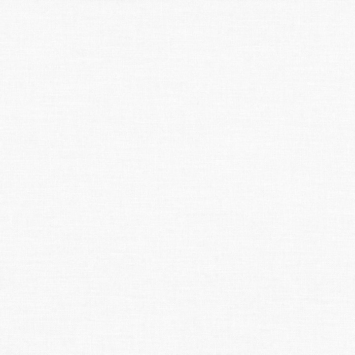 Subtle Chic White by Kasmir Fabric 5040 INDIA 50,000 Wyzenbeek Double Rubs H: N/A, V:N/A 55 - 57 - Fabric Carolina - Kasmir
