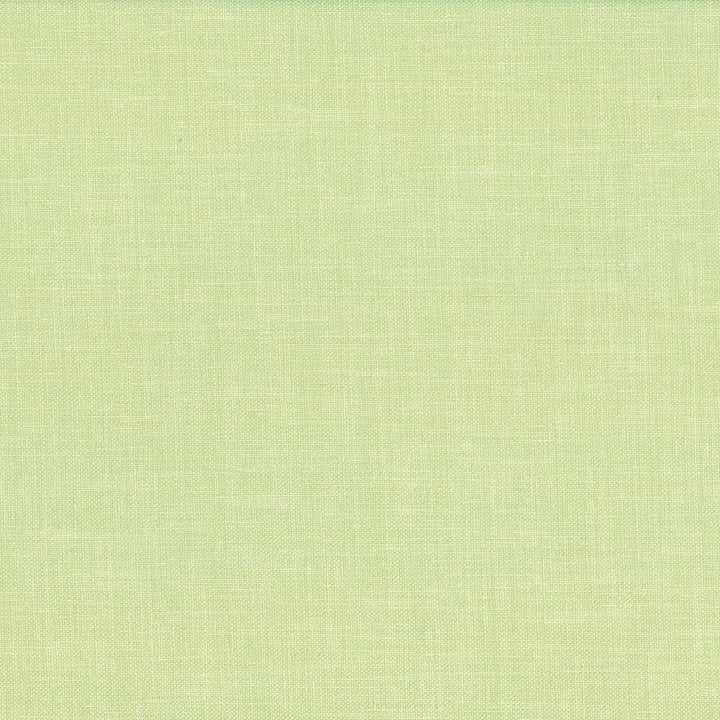 Subtle Chic Willow by Kasmir Fabric 5040 INDIA 50,000 Wyzenbeek Double Rubs H: N/A, V:N/A 55 - 57 - Fabric Carolina - Kasmir