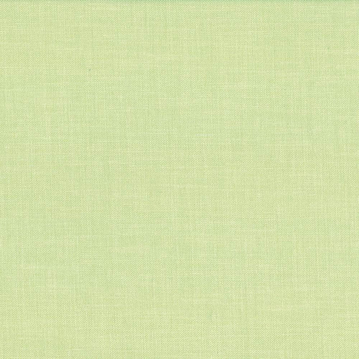 Subtle Chic Willow by Kasmir Fabric 5040 100% Polyester
 INDIA 50,000 Wyzenbeek Double Rubs Horizontal: N/A and Vertical: N/A 54 - Fabric Carolina -