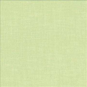 Subtle Chic Willow by Kasmir Fabric 5040 100% Polyester INDIA 50,000 Wyzenbeek Double Rubs H: N/A, V: N/A 55 - 57 - Fabric Carolina - Kasmir