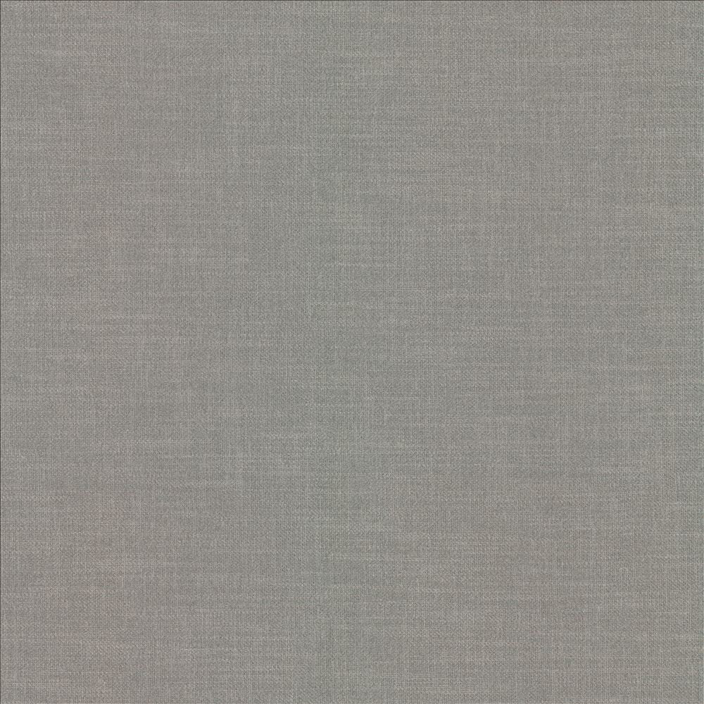 Subtle Chic Windspray  by Kasmir Fabric 5183 100% Polyester  INDIA  </p><p>Repeat: Horizontal: N/A and Vertical: N/A 54  - 57   - Fabric Carolina -