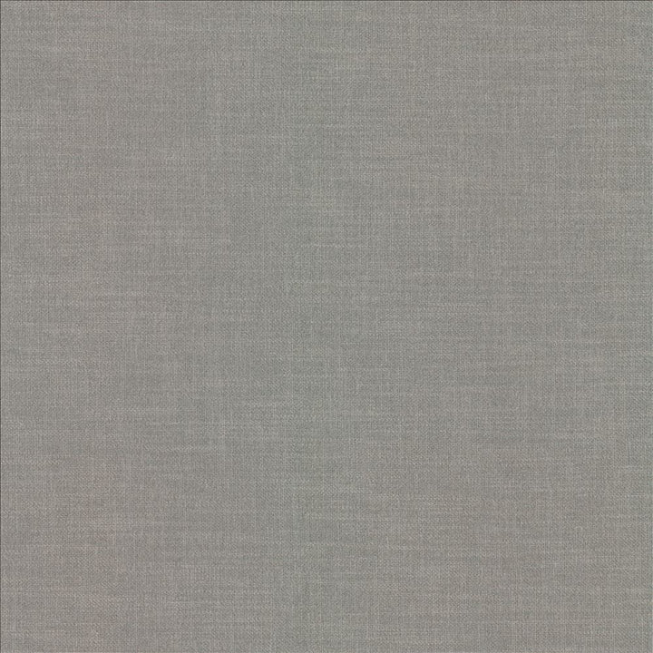 Subtle Chic Windspray  by Kasmir Fabric 5183 100% Polyester  INDIA  </p><p>Repeat: Horizontal: N/A and Vertical: N/A 54  - 57   - Fabric Carolina -