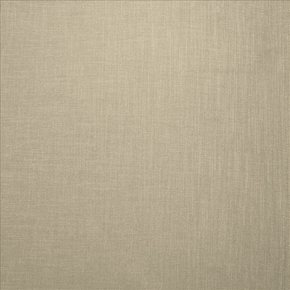 Subtle Chic Barley by Kasmir Fabric 5160 100% Polyester
 INDIA </p><p>Repeat: Horizontal: N/A and Vertical: N/A 54 - 57 - Fabric Carolina -