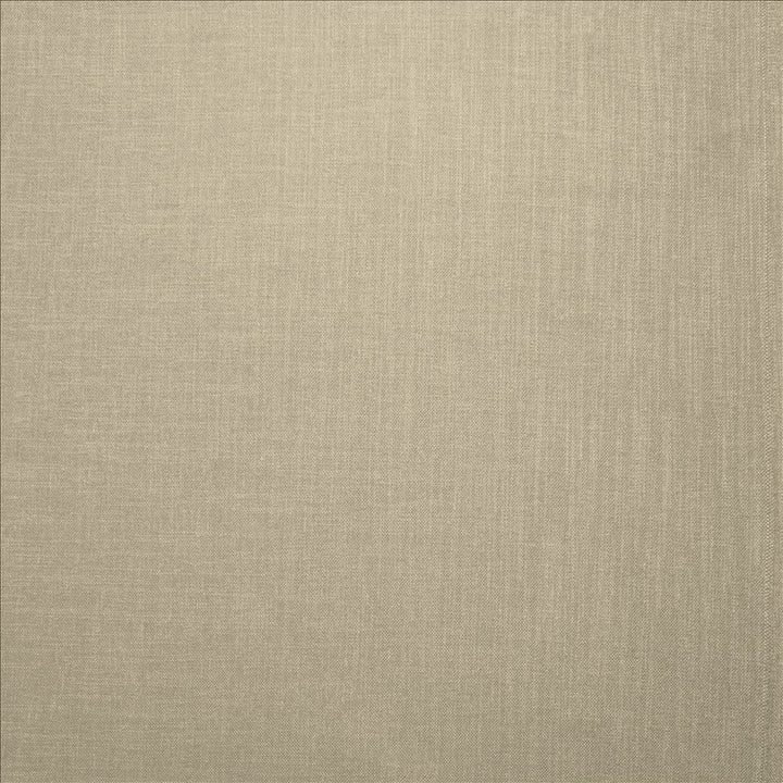 Subtle Chic Barley by Kasmir Fabric 5160 100% Polyester
 INDIA </p><p>Repeat: Horizontal: N/A and Vertical: N/A 54 - 57 - Fabric Carolina -