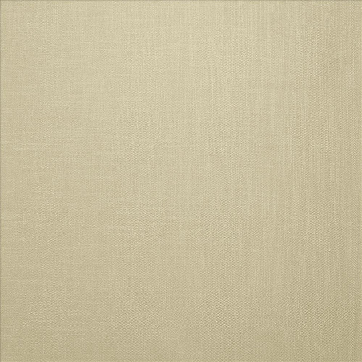Subtle Chic Dove by Kasmir Fabric 5160 100% Polyester
 INDIA </p><p>Repeat: Horizontal: N/A and Vertical: N/A 54 - 57 - Fabric Carolina -