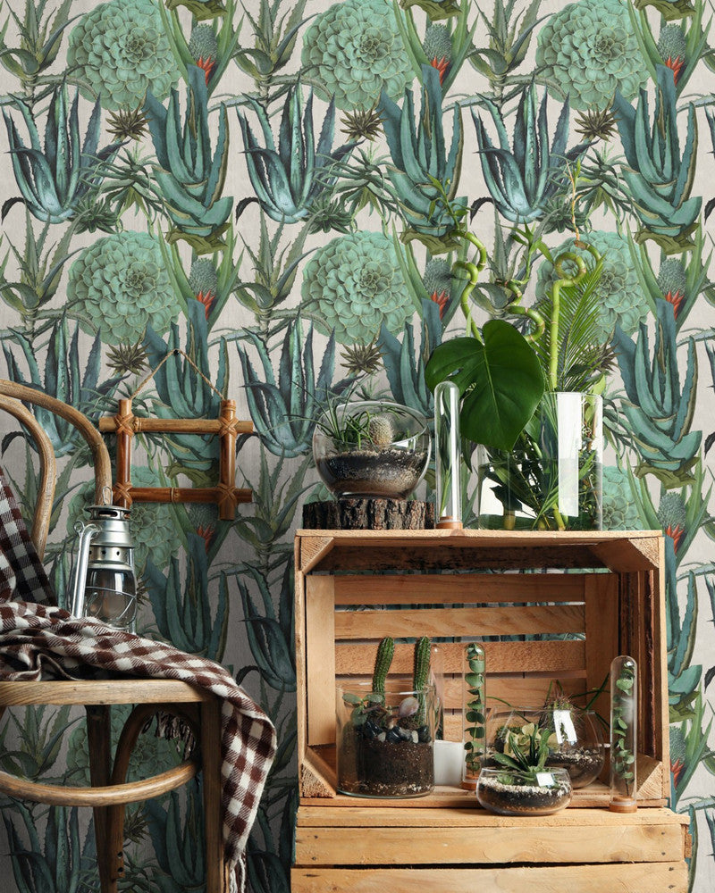 SUCCULENTUS Wallpaper (WP20168) by Mind The Gap | WP20168 | PREMIUM DESIGNER WALLPAPER COLLECTION | 3 rolls x 20.5 x 118.1 in | 0.52m / 20.5in | 3m / 118in | 4.65mp | 52cm / 20.5in | Green, Taupe | Non-woven | Paste the wall | 3-rolls in a box | Fabric Carolina | https://www.fabriccarolina.com/
