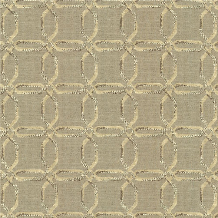 Sugarcane Greige by Kasmir Fabric 5141 100% Polyester
 CHINA </p><p>Repeat: Horizontal: 3 4/8 inches and Vertical: 3 2/8 inches 54 - Fabric Carolina -